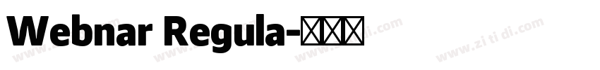 Webnar Regula字体转换